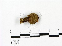 登錄號:F0023095藏品圖，第1張
