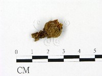 登錄號:F0023095藏品圖，第3張