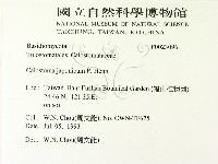 登錄號:F0023096藏品圖，第2張