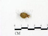 登錄號:F0023096藏品圖，第1張