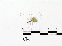 登錄號:F0023097藏品圖，第3張