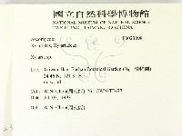 炭角菌屬藏品圖，第2張
