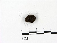 登錄號:F0023099藏品圖，第1張