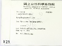 登錄號:F0023104藏品圖，第2張