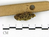 登錄號:F0023104藏品圖，第3張