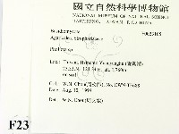 登錄號:F0023105藏品圖，第2張