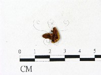 登錄號:F0023105藏品圖，第3張