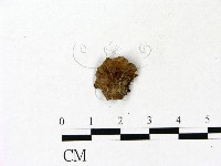 登錄號:F0023107藏品圖，第1張