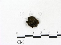 登錄號:F0023107藏品圖，第3張