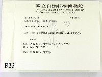 登錄號:F0023110藏品圖，第2張