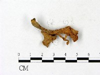 登錄號:F0023110藏品圖，第3張