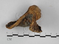 登錄號:F0023112藏品圖，第4張