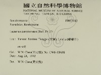 登錄號:F0023113藏品圖，第2張