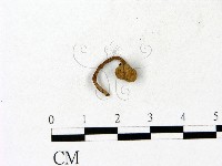 登錄號:F0023115藏品圖，第1張