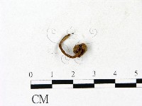 登錄號:F0023115藏品圖，第3張