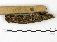 登錄號:F0023116藏品圖，第3張