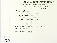 登錄號:F0023118藏品圖，第2張