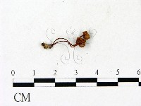 登錄號:F0023118藏品圖，第1張