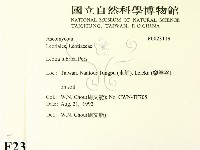 登錄號:F0023119藏品圖，第2張