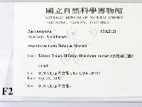 登錄號:F0023121藏品圖，第2張