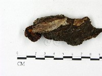 登錄號:F0023122藏品圖，第3張