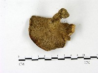 登錄號:F0023124藏品圖，第3張