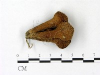 登錄號:F0023125藏品圖，第1張