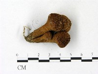 登錄號:F0023125藏品圖，第3張