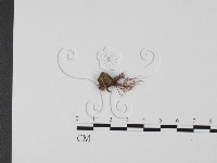 登錄號:F0023126藏品圖，第3張