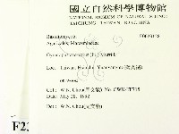 登錄號:F0023128藏品圖，第2張