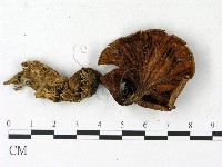 登錄號:F0023129藏品圖，第3張