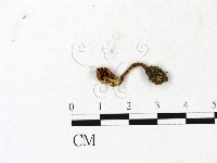 登錄號:F0023130藏品圖，第3張