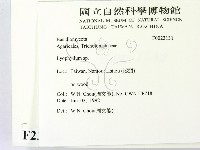 登錄號:F0023131藏品圖，第2張