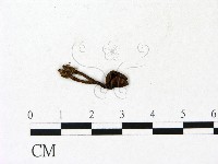 登錄號:F0023131藏品圖，第3張