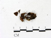 登錄號:F0023132藏品圖，第3張