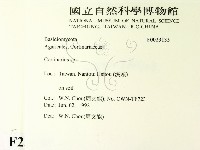 登錄號:F0023135藏品圖，第2張