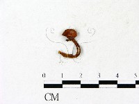 登錄號:F0023135藏品圖，第1張