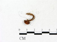 登錄號:F0023135藏品圖，第3張