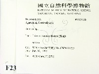盔孢傘屬藏品圖，第2張