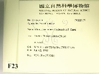 登錄號:F0023137藏品圖，第2張