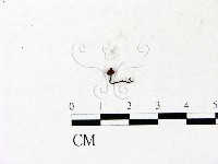 登錄號:F0023137藏品圖，第1張