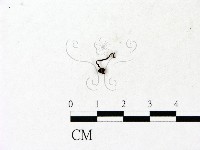 登錄號:F0023137藏品圖，第3張