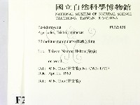 登錄號:F0023138藏品圖，第2張