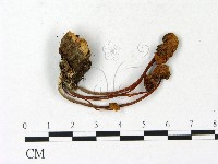 登錄號:F0023138藏品圖，第1張