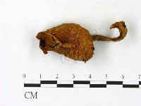 登錄號:F0023139藏品圖，第1張