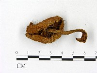 登錄號:F0023139藏品圖，第3張