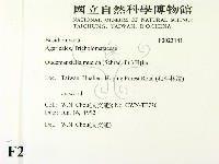 登錄號:F0023141藏品圖，第2張