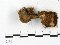 登錄號:F0023141藏品圖，第1張