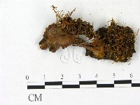 登錄號:F0023141藏品圖，第3張