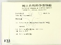 登錄號:F0023145藏品圖，第2張